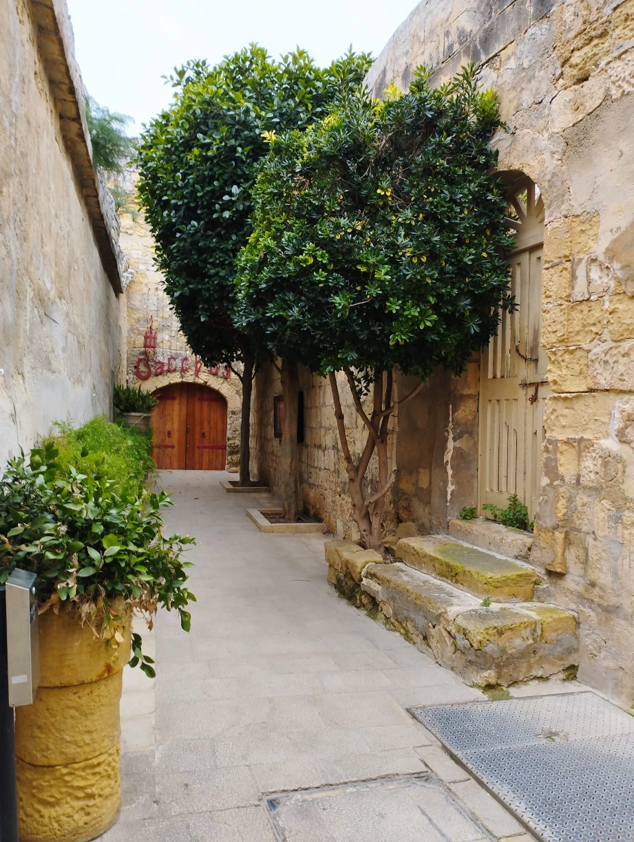 Slika 12